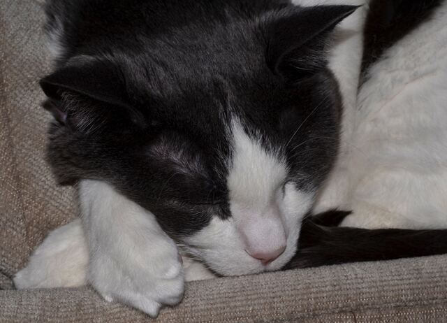 Baxter