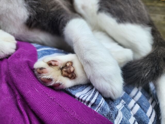 Boots, photo 1