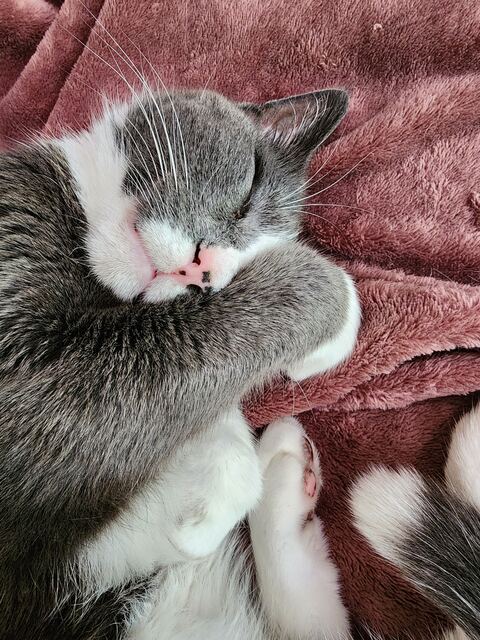 Boots, photo 26