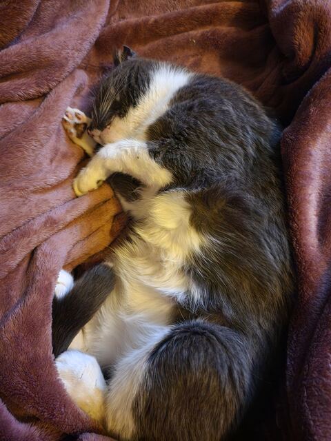 Boots, photo 46