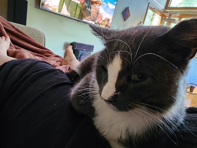 Boots, photo 53