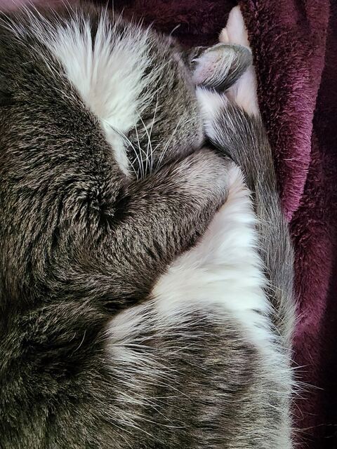 Boots, photo 70
